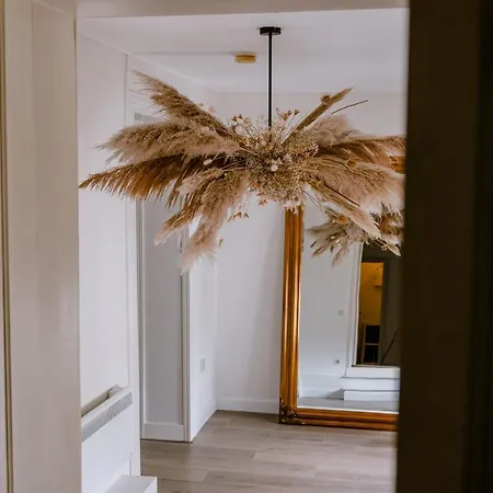 Kasteel 3* 巴克瑟姆