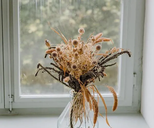 Kasteel فندق مبيت وإفطار 3*