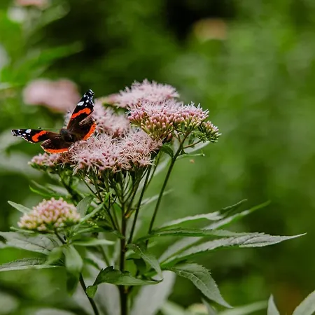 Kasteel Bed & Breakfast