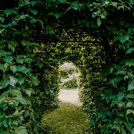 Bed & Breakfast Kasteel Baexem