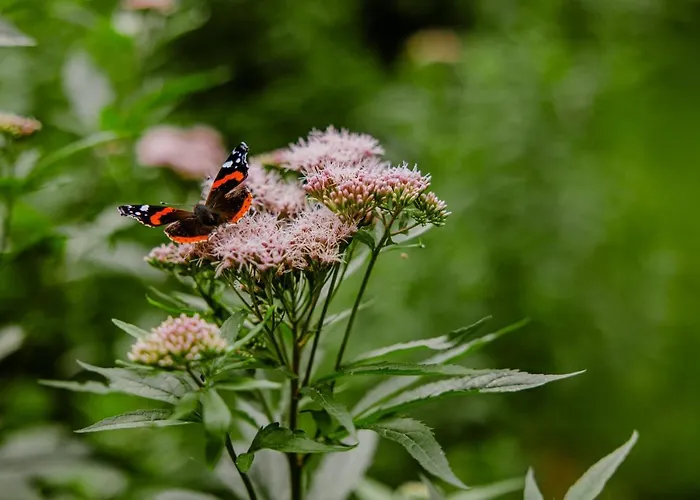 Kasteel Bed & Breakfast