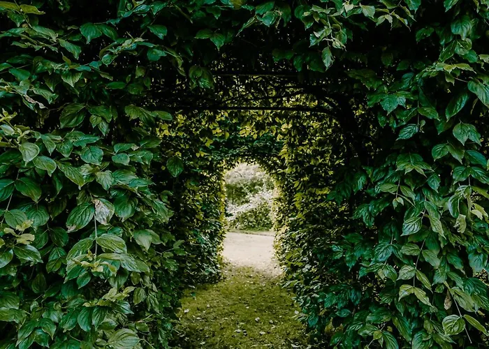 Bed & Breakfast Kasteel Baexem